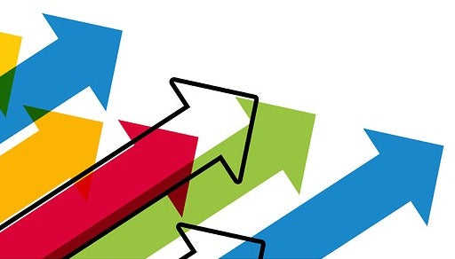 Cosmetic Plant, afaceri în creștere cu 17% în 2016 la peste 10,4 milioane de lei