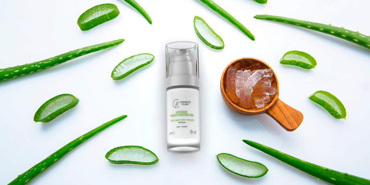 Despre Aloe Vera și beneficiile sale