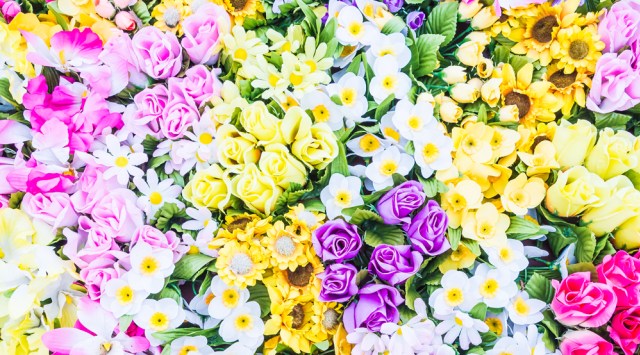 Florile Cosmetic Plant